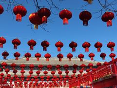 -八大处公园