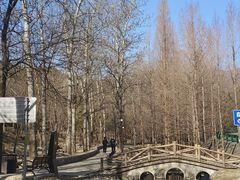 -白水寺森林公园