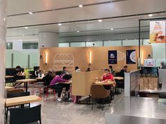 大堂-麦当劳(北京大兴机场二层国内到达(安检外)店)