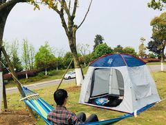 -铁山坪森林公园