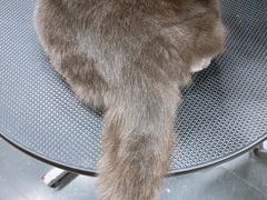 -八公叔叔宠物美容连锁(春申店)