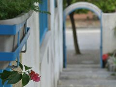 -长江六号法国餐厅(长江南路店)