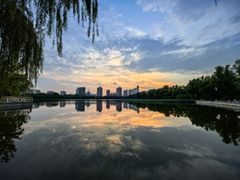 -莲花池公园