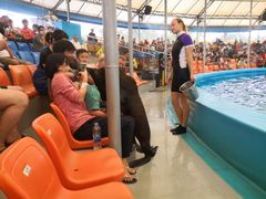 -尼莫海豚馆