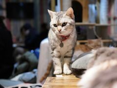 -小时光咖啡馆(开森度假森林店)