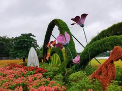 -海珠湖公园