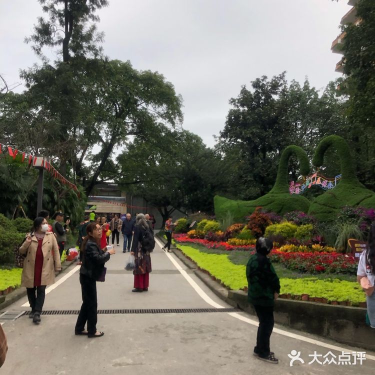 陪儿子上去也不敢拍照，腿软厉害！