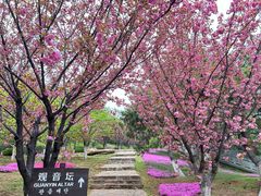 -石岛赤山风景区