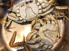 -半岛听涛蒸汽海鲜自助(K11店)