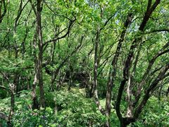 -宁波市保国寺古建筑博物馆