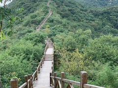 -大岭沟猕猴桃谷风景区
