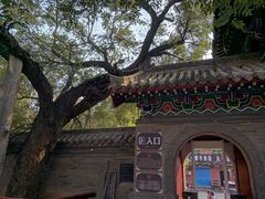 -洛阳周公庙博物馆