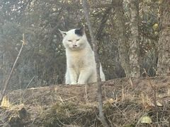 -青藏高原野生动物园