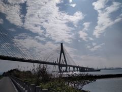-芒洲湿地公园