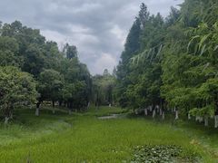 -武汉园博园(武汉自然博物馆)