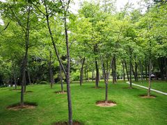 -金山公园