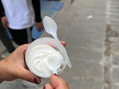 -洪馨椰子