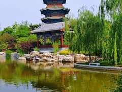 -迎泽公园