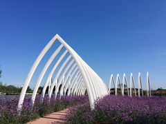 -紫海香堤香草艺术庄园