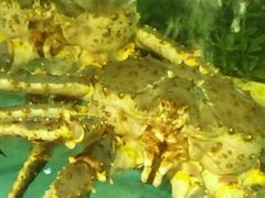 -明珠海港大酒店