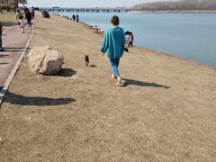 -丁香湖公园