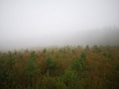 -塞罕坝国家级自然保护区