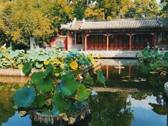 -八大处公园