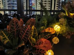 -Mercato莫卡多露台餐厅与酒吧(K11店)