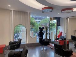 -IP SALON