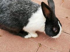 -西部长青自然儿童乐园