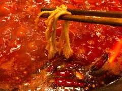 -星鸿社重庆老火锅(燃灯寺分店)