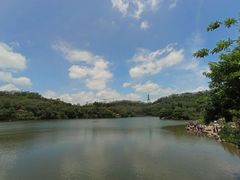 -深圳仙湖植物园