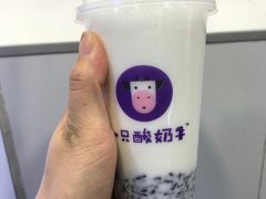 -一只酸奶牛(八一路店)