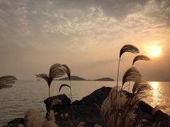 -上海市保健医疗中心