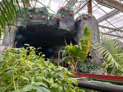 -南宫五洲植物乐园