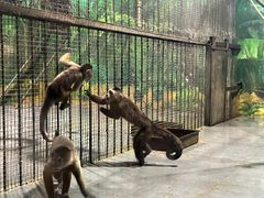 -西安秦岭野生动物园