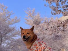 -龙美术馆(西岸馆)