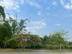 -中国科学院西双版纳热带植物园