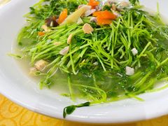 -烧鹅妹饭店