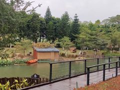 -映月湖公园