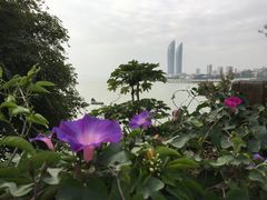 -胡里山炮台