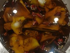 -鑫巴蜀小镇 · 水煮鱼专研店(玉桥店)