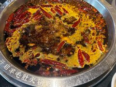-一斗火锅·招财羊毛肚(北温泉九号店)