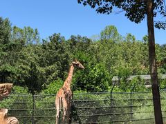 -大连森林动物园