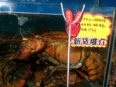 -蚝专家(北滘店)