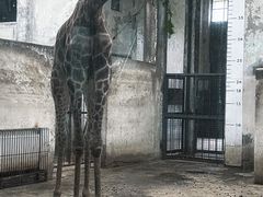 -成都动物园