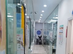 -芭比堂动物医院(广州爱宠下渡路分院)