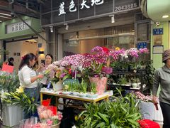 -溪岸路花鸟市场