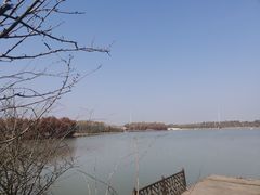 -上海海湾国家森林公园