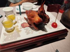 -大鸽饭(体育西路店)
